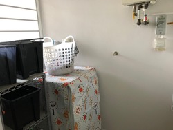 Blk 588A Park Central @ Amk (Ang Mo Kio), HDB 5 Rooms #208259621